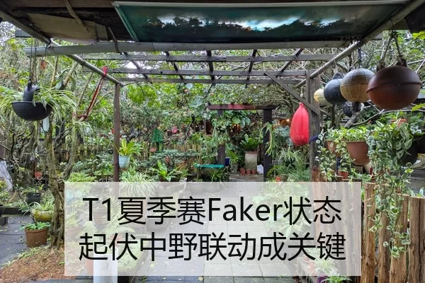 T1夏季赛Faker状态起伏中野联动成关键