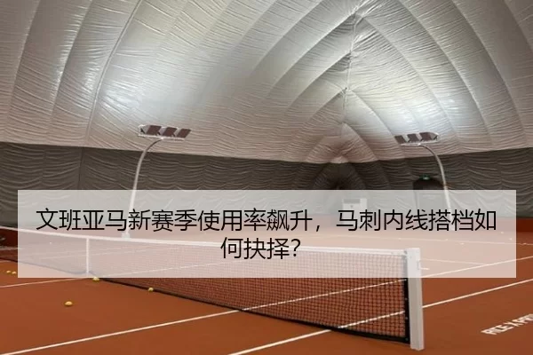 wen-ban-ya-ma-xin-sai-ji-shi-yong-lv-biao-sheng-ma-ci-nei-xian-da-dang-ru-he-jue-ze-2-577.jpg
